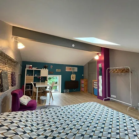Typical Toulouse House Completely Renovated * Launaguet