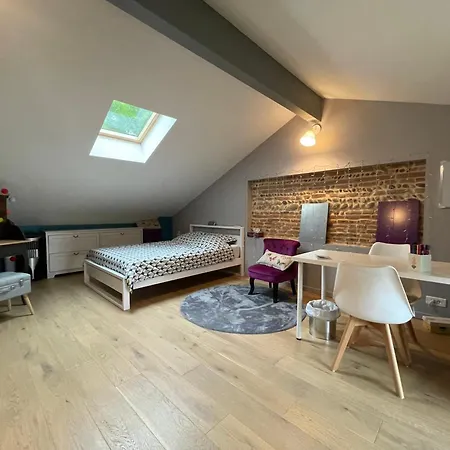 Typical Toulouse House Completely Renovated Casa de Férias Launaguet