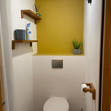 Typical Toulouse House Completely Renovated Launaguet